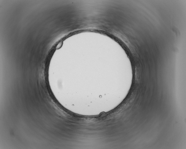 X0000111431452200908241111