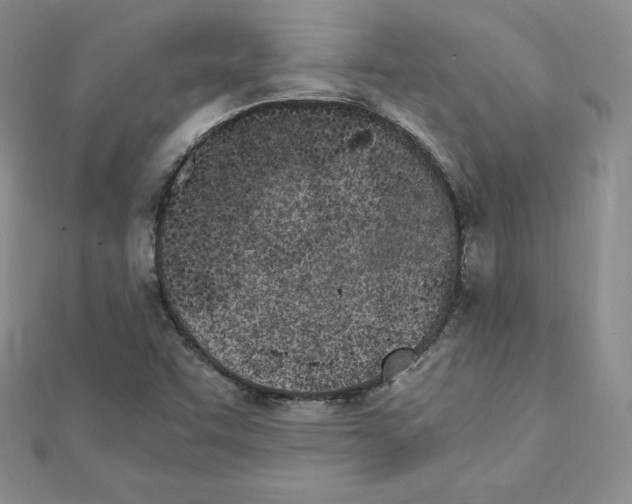 X0000111431455200908241111