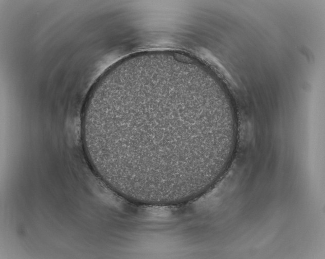 X0000111431457200908241111