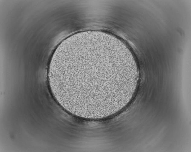 X0000111431459200908241111