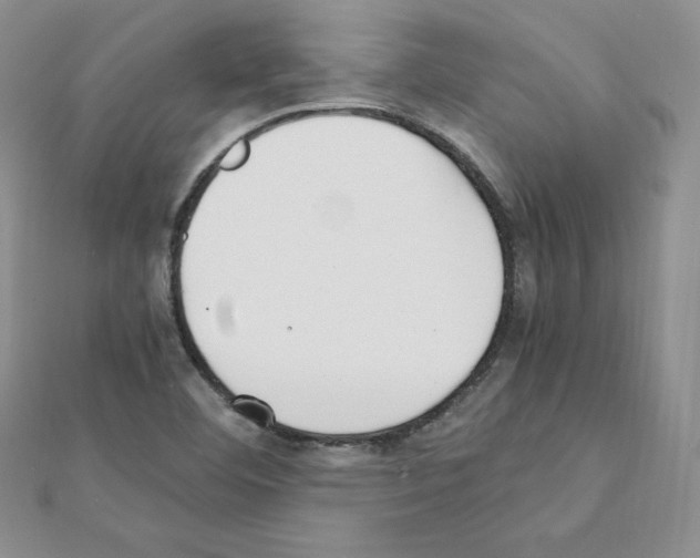 X0000111431460200908241111