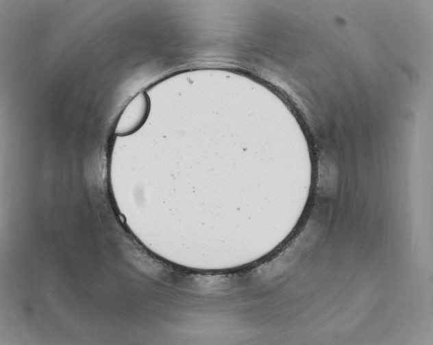 X0000111431461200908241111