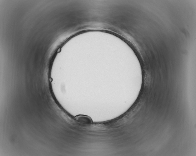 X0000111431464200908241111