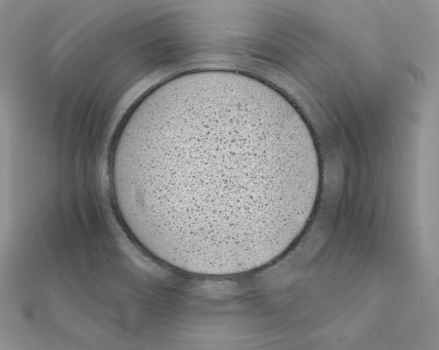 X0000111431466200908241111