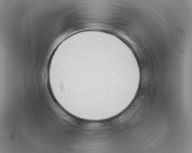 X0000111431467200908241111