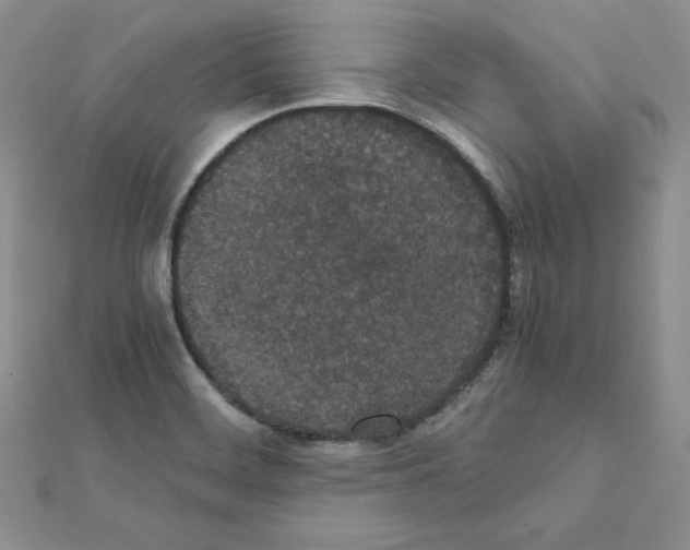 X0000111431468200908241111