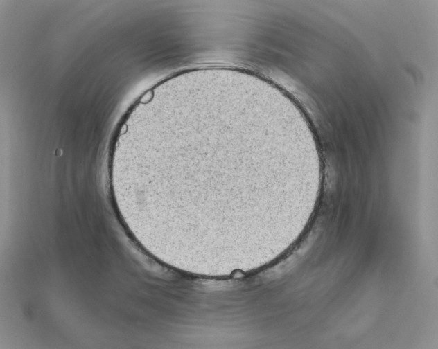 X0000111431469200908241111