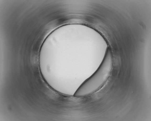 X0000111431473200908241111