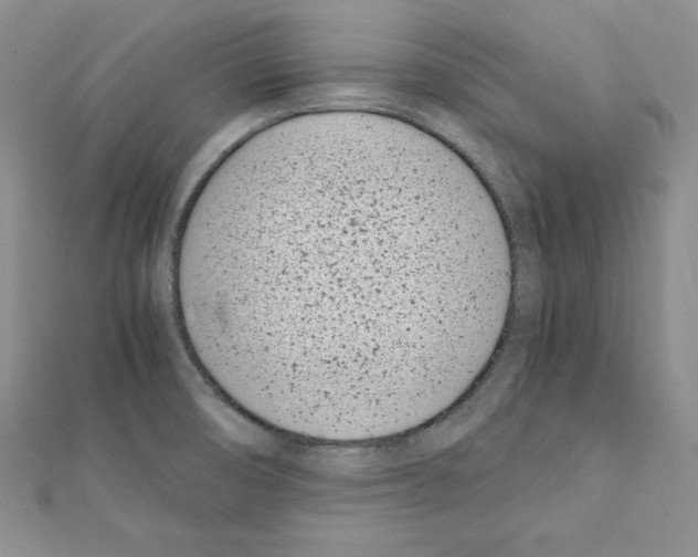 X0000111431474200908241111
