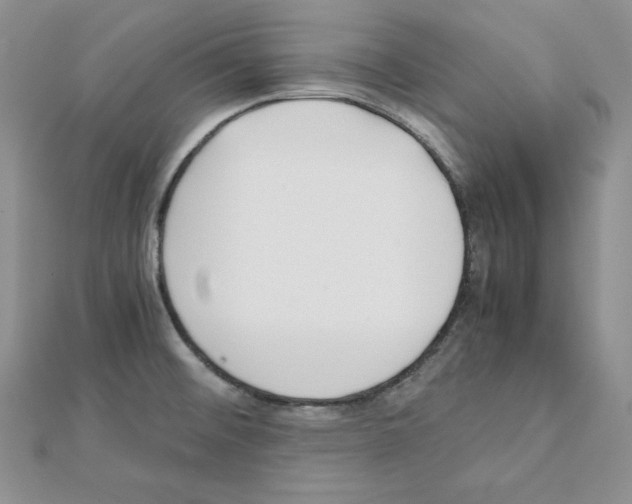 X0000111431476200908241111