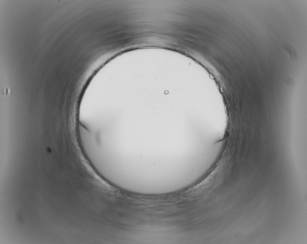 X0000111431477200908241111