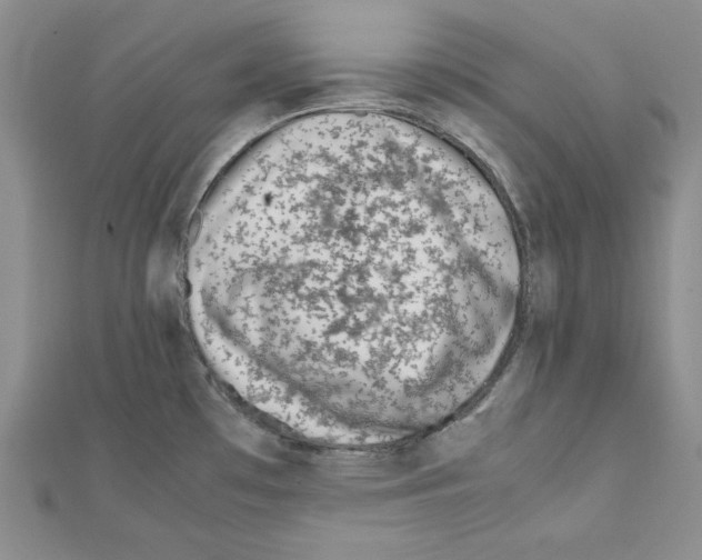 X0000111431481200908241111