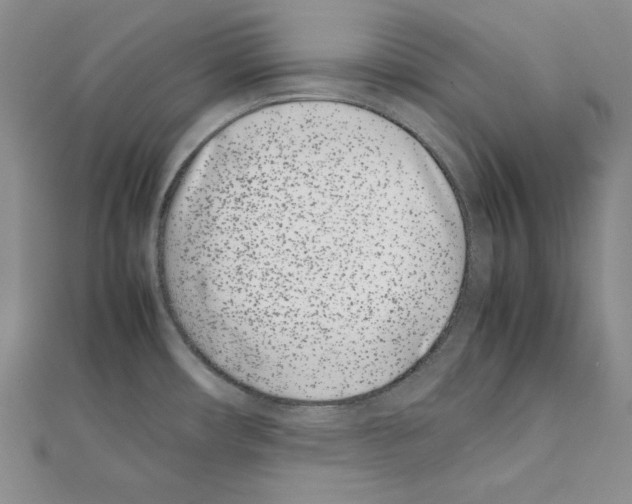 X0000111431482200908241111
