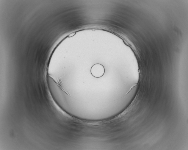 X0000111431484200908241111