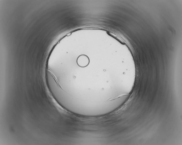 X0000111431485200908241111