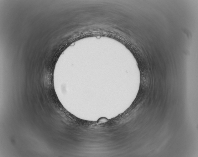 X0000111431490200908241110