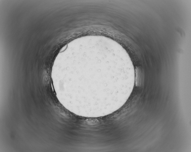 X0000111431491200908241110