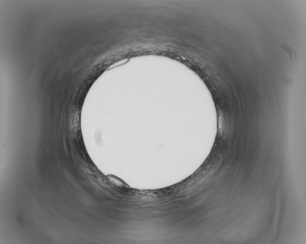 X0000111431492200908241110