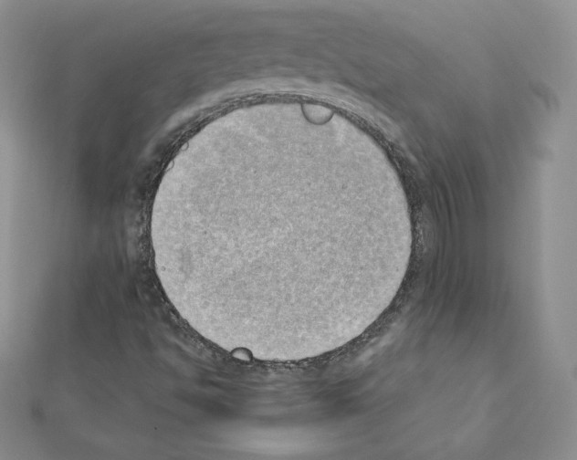 X0000111431494200908241110