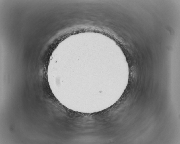 X0000111431495200908241110
