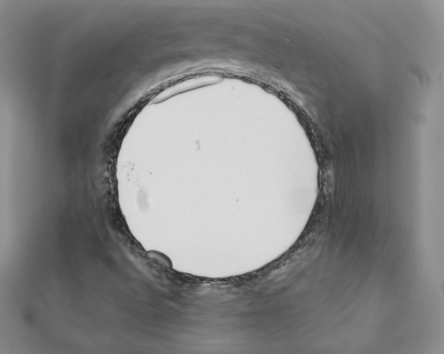 X0000111431496200908241110