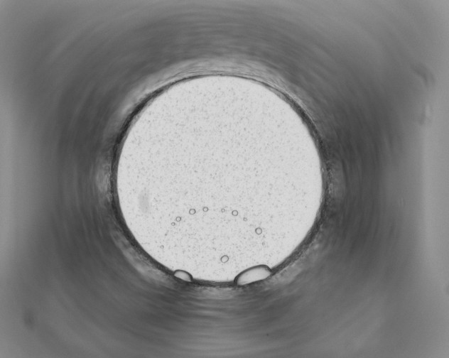X0000111431499200908241110