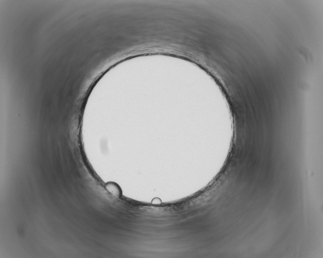 X0000111431500200908241110