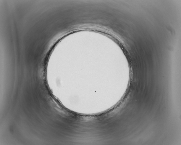 X0000111431501200908241110