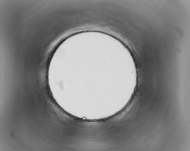 X0000111431502200908241110