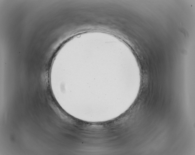 X0000111431503200908241110