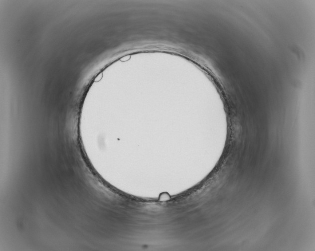 X0000111431504200908241110