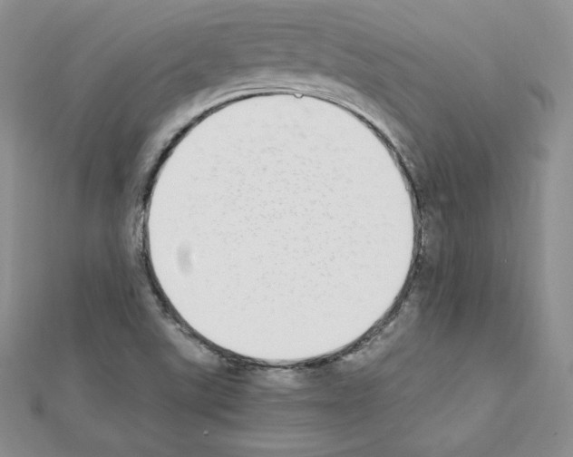 X0000111431507200908241110