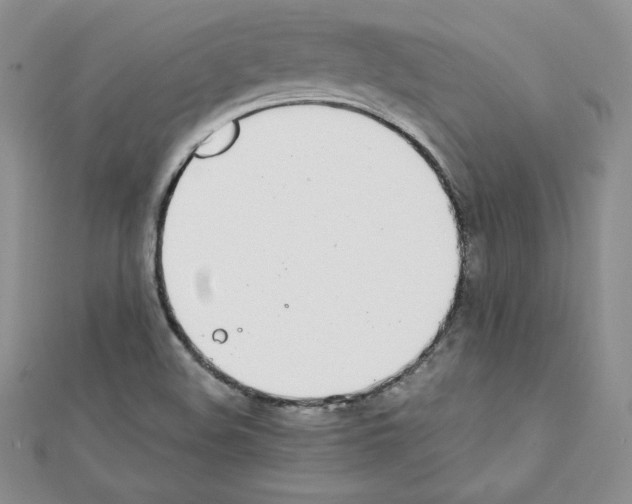 X0000111431508200908241110