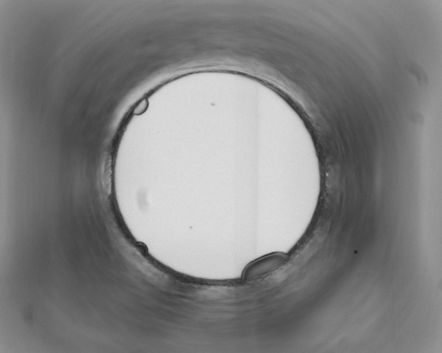X0000111431510200908241110