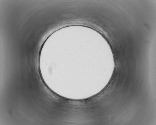 X0000111431512200908241111
