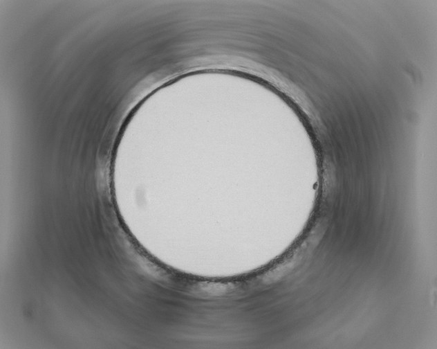 X0000111431513200908241111