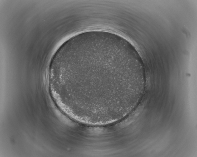 X0000111431515200908241111