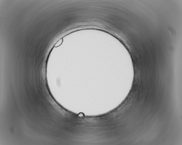 X0000111431516200908241111