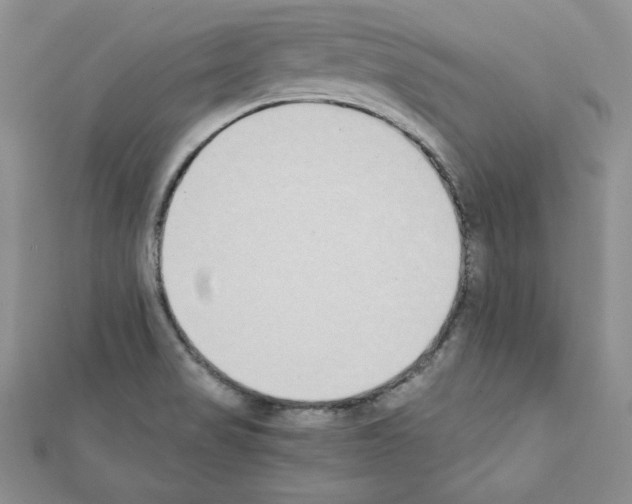 X0000111431517200908241111