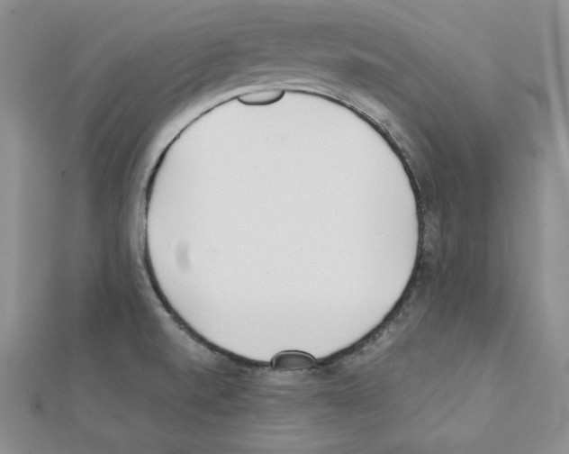 X0000111431520200908241111
