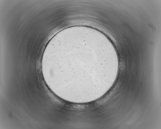 X0000111431521200908241111