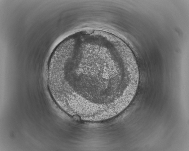 X0000111431522200908241111