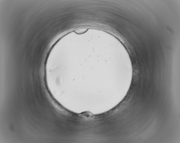 X0000111431523200908241111