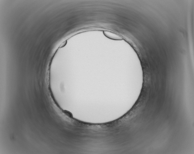 X0000111431524200908241111