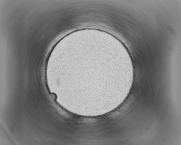 X0000111431525200908241111