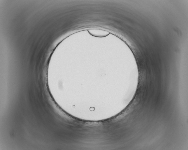 X0000111431526200908241111
