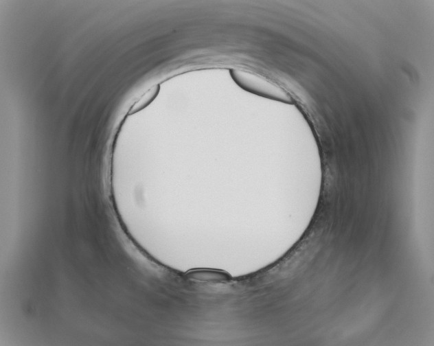 X0000111431528200908241111