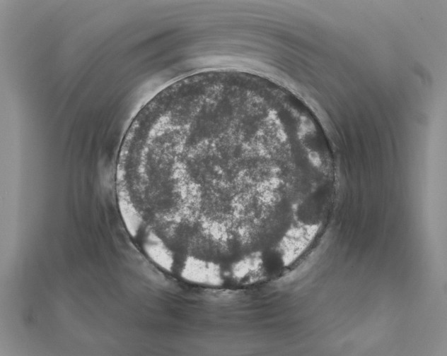 X0000111431529200908241111