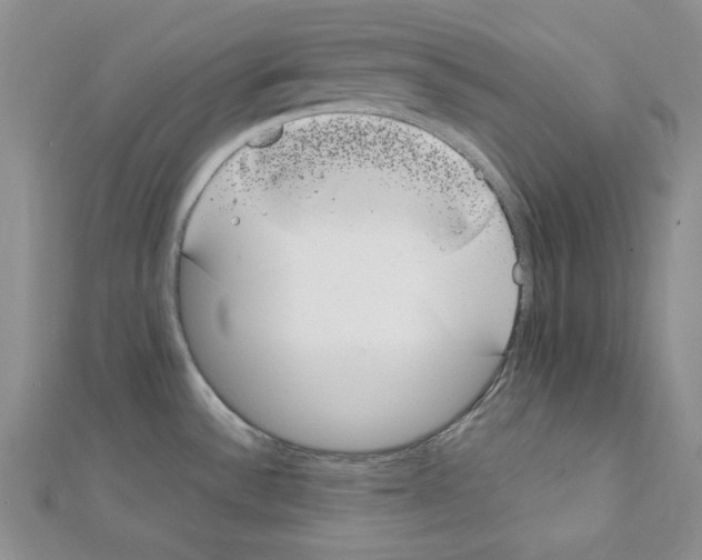 X0000111431532200908241111
