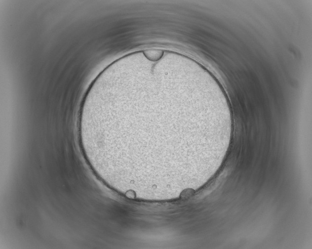 X0000111431533200908241111